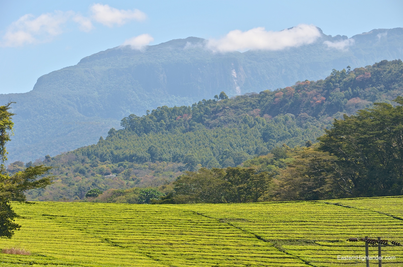 Honde Valley Nature